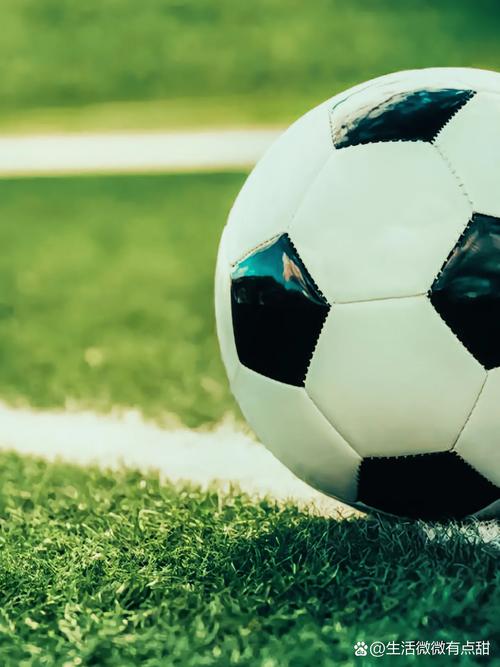 更多赛事数据分析